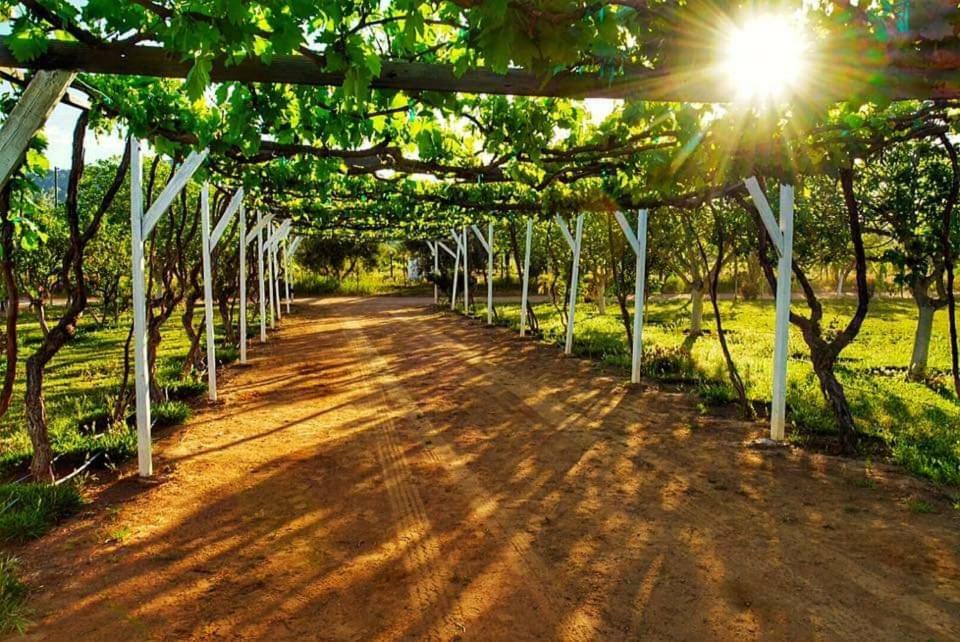 Villa Corsua Valle de Guadalupe Exteriör bild